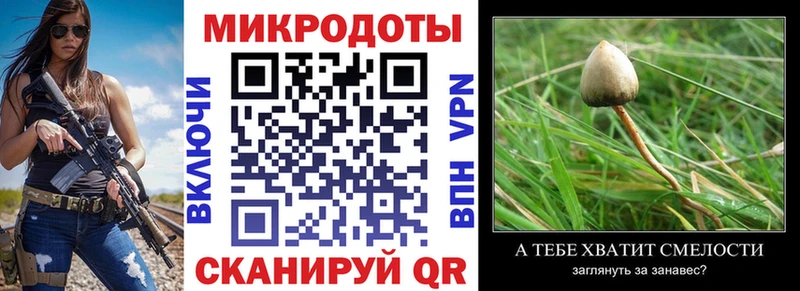 Псилоцибиновые грибы прущие грибы МЕГА ссылка Серов